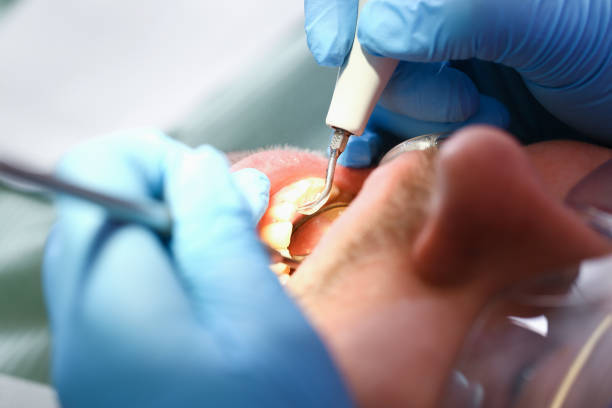 Best Emergency Dental Services for Seniors in Dollar Bay, MI